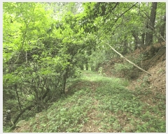  2025Ÿ��11948  �Ӿ߰��