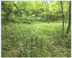  2025Ÿ��11948  �Ӿ߰��