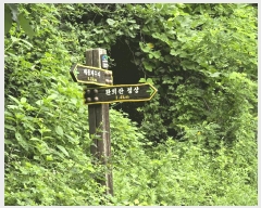  2025Ÿ��11948  �Ӿ߰��