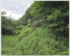  2025Ÿ��11948  �Ӿ߰��