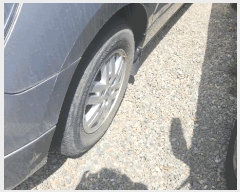  2025Ÿ��11964 õ�Ƚ� ������ ����� 350       �������