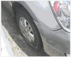  2025Ÿ��11964 õ�Ƚ� ������ ����� 350       �������