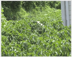  2025Ÿ��12141 �泲 �ƻ�� ���ָ� �ż��� 128-2      ��,�繫�ǰ��