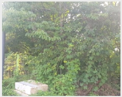  2025Ÿ��12231 �泲 õ�Ƚ� ������ ���ﵿ 155-1      ����(����)���