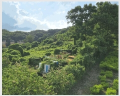  2025Ÿ��12263  �����