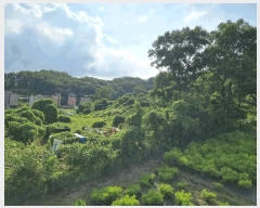  2025Ÿ��12263  �����