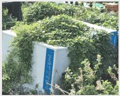  2025Ÿ��12263  �����