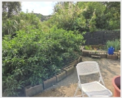  2025Ÿ��12263  �����