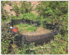  2025Ÿ��12263  �����