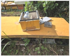  2025Ÿ��12263  �����