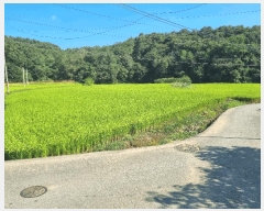  2025Ÿ��12321 �泲 õ�Ƚ� ������ ������ ���и� 80-3     ����(��)���