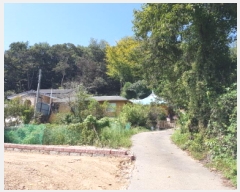  2025Ÿ��12321 �泲 õ�Ƚ� ������ ������ ���и� 80-3     ����(��)���