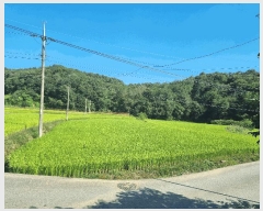  2025Ÿ��12321 �泲 õ�Ƚ� ������ ������ ���и� 80-3     ����(��)���