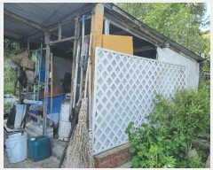  2025Ÿ��12321 �泲 õ�Ƚ� ������ ������ ���и� 80-3     ����(��)���