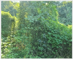  2025Ÿ��12321 �泲 õ�Ƚ� ������ ������ ���и� 80-3     ����(��)���