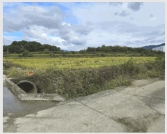  2025Ÿ��12491  ����