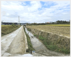  2025Ÿ��12491  ����