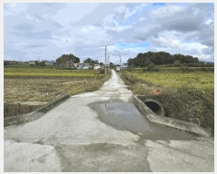  2025Ÿ��12491  ����