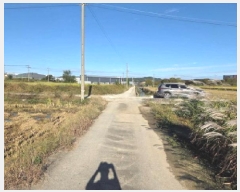  2025Ÿ��12491  ����