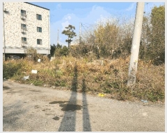  2025Ÿ��12643 �泲 �ƻ�� ������ ���븮 195-62      ����(��1)���