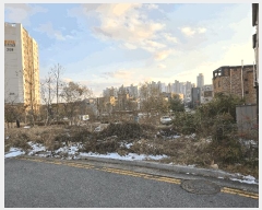  2025Ÿ��12693  �������