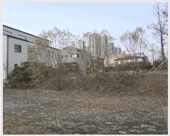  2025Ÿ��12693  �������