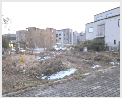  2025Ÿ��12693  �������