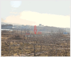  2025Ÿ��12703  ���������