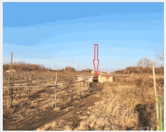  2025Ÿ��12703  ���������