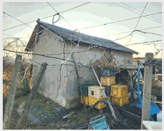  2025Ÿ��12703  ���������