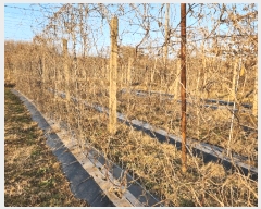  2025Ÿ��12703  ���������