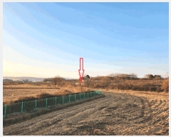  2025Ÿ��12703  ���������