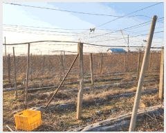  2025Ÿ��12703  ���������