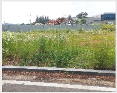  2025Ÿ��525  �����