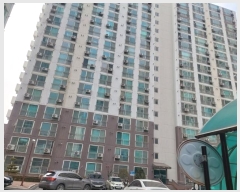  2025Ÿ10019 泲 ƻ 183 14, 104 7703ȣ (ǳ⵿,Ʈ)    Ʈ