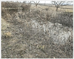  2025Ÿ��11240 �泲 �ƻ�� ����� �Ŵ��� 783      ����(��)���