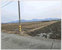  2025Ÿ��11240 �泲 �ƻ�� ����� �Ŵ��� 783      ����(��)���