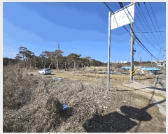  2025Ÿ��11260  ����