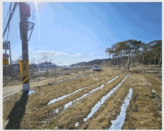  2025Ÿ��11260  ����