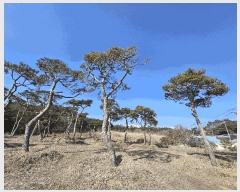  2025Ÿ��11260  ����