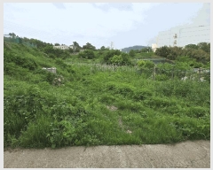  2025Ÿ��11686  �����