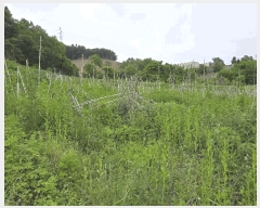  2025Ÿ��11686  �����