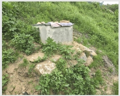  2025Ÿ��11686  �����