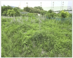  2025Ÿ��11686  �����