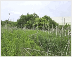  2025Ÿ��11686  �����