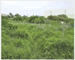  2025Ÿ��11686  �����