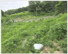  2025Ÿ��11686  �����