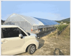  2025Ÿ��11791  ���������