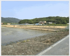  2025Ÿ��11791  ���������