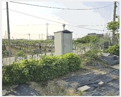  2025Ÿ��11791  ���������